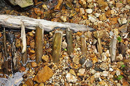 Wood slats under water resemble a fallen fence